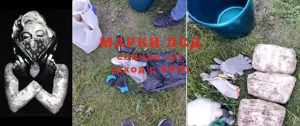 spice Богородск