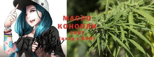 spice Богородск